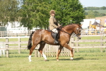 SBM_09637