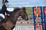 CLASS 28 48cm Pony Royal Highland Show Championship Qualifier portfolio