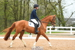 Team Quest Open and U21 Intro B portfolio