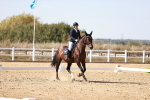 SBM_006333