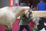 SBM_06510