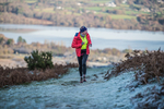 Sale Fell-61