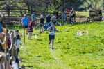The Finish-971