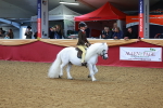 SBM_09886