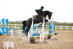 SBM_001931