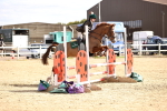 SBM_002991