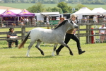 SBM_02382