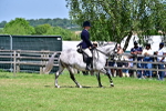 SBM_17406