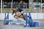 BVRC SJ 170319 207