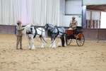 SBM_000644