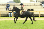 SBM_69973