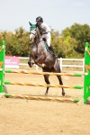 SBM_003425