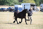 WJ6_4663