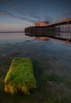 Worthing Pier V