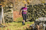 Stybarrow Dodd-1147