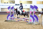 SBM_001291