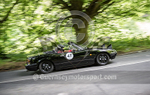 Heritage Charity Hillclimb_2014-97