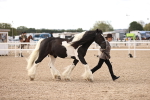 SBM_09305