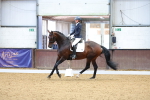 SBM_000538