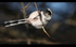 Long Tailed Tit