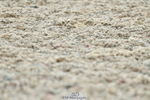 230708A-144447-03526