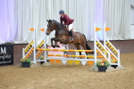 SBM_009754
