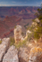 Grand Canyon Rim at Sunset, 5
