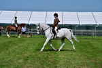 SBM_03740