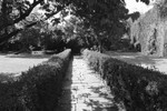 Walled Courtyard