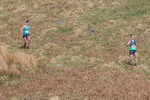 Black Combe-534