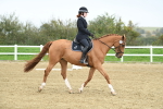 LAD_3760