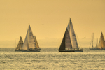 z3458 Round the Island Race from Ryde