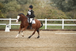 SBM_001385