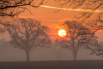 z3358 Misty Sunrise, Ashey