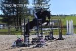 BPP_3149