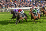 230923-Race 5-Vintage Clarets-6801