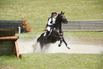 BVHT 140517  IXC -477