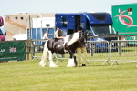 SBM_04114