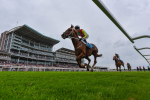 Race 6 4.30pm Royal Yorkshire Regiment Handicap portfolio