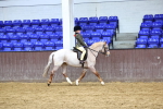 M&M Novice WHP Championship portfolio