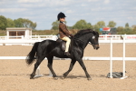 Class 310 - First Ridden Pony portfolio