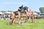 BPP_7529