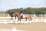 SBM_001550