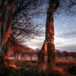 Beautiful picture of Exmoor