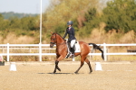 SBM_016497