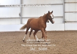 JAC_5088