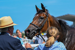 230626-Race 3-Tamzan-0767