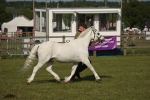 SBM_10380