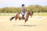 SBM_008011