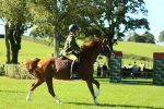 SBM_37441